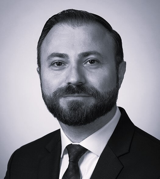 Partner, Sheppard Mullin